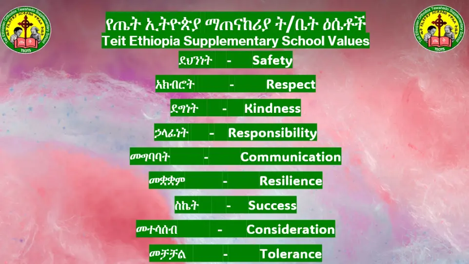 Vision of the supplementary school 